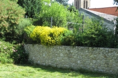Kleinstrauchhecke