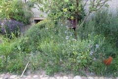 Naturgartenbeet unter kleinem Apfelbaum
